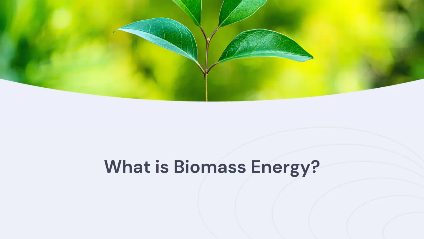 what is biomass energy