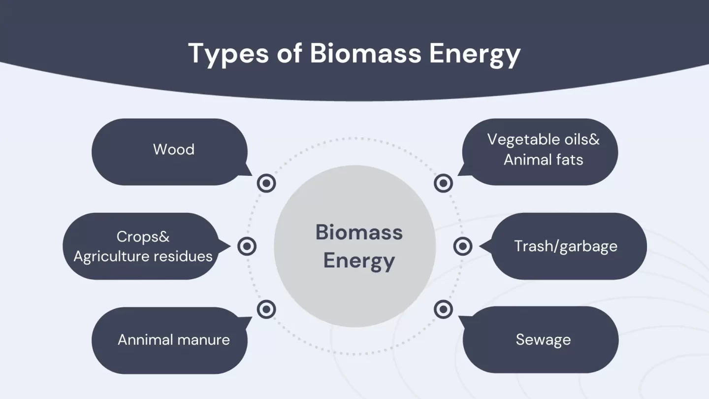 Types of biomass energy